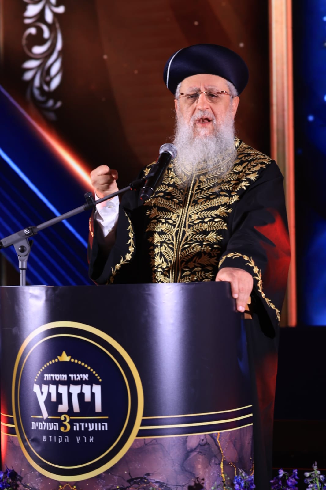 ועידת איגוד מוסדות ויז'ניץ