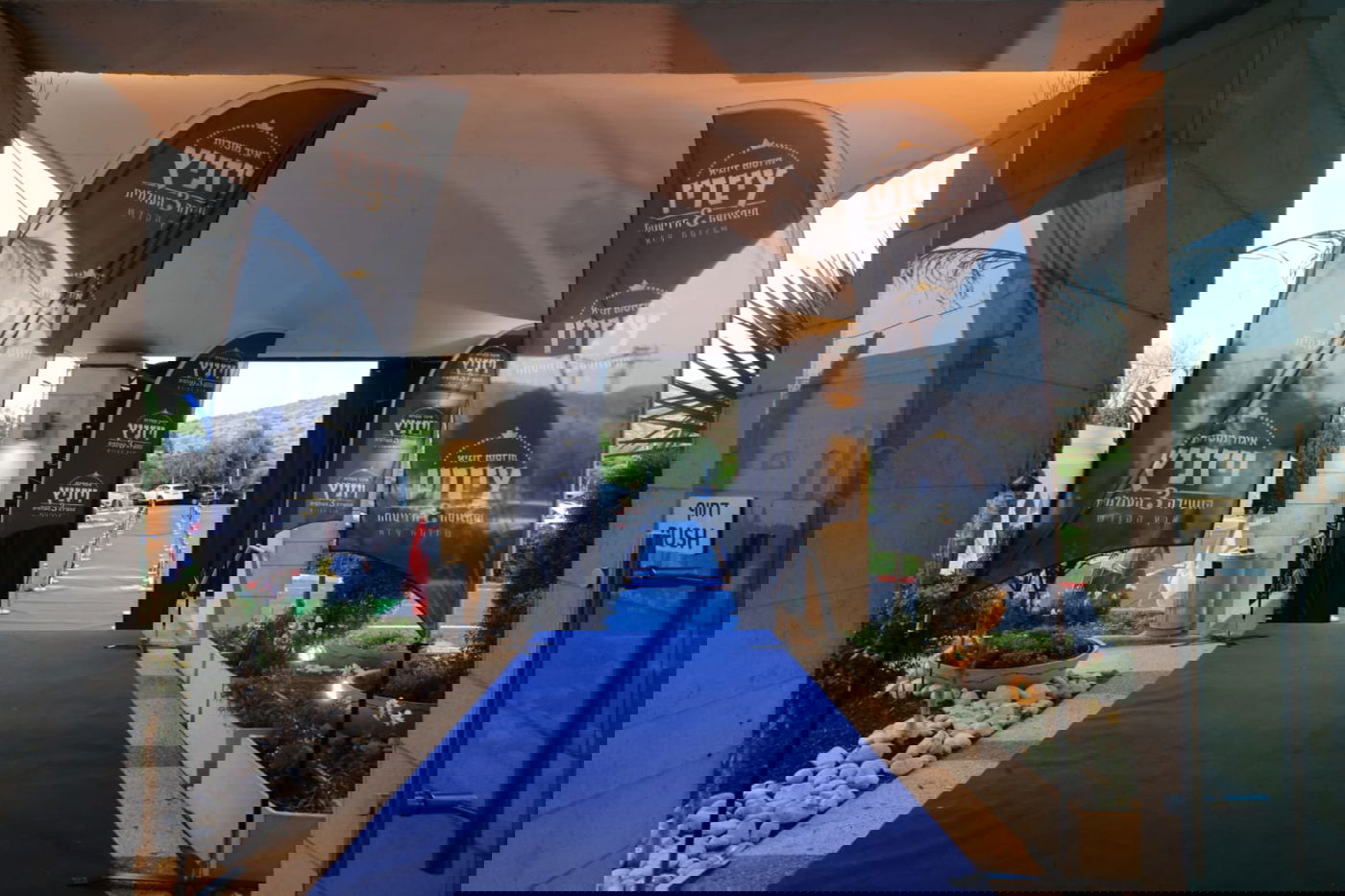 ועידת איגוד מוסדות ויז'ניץ