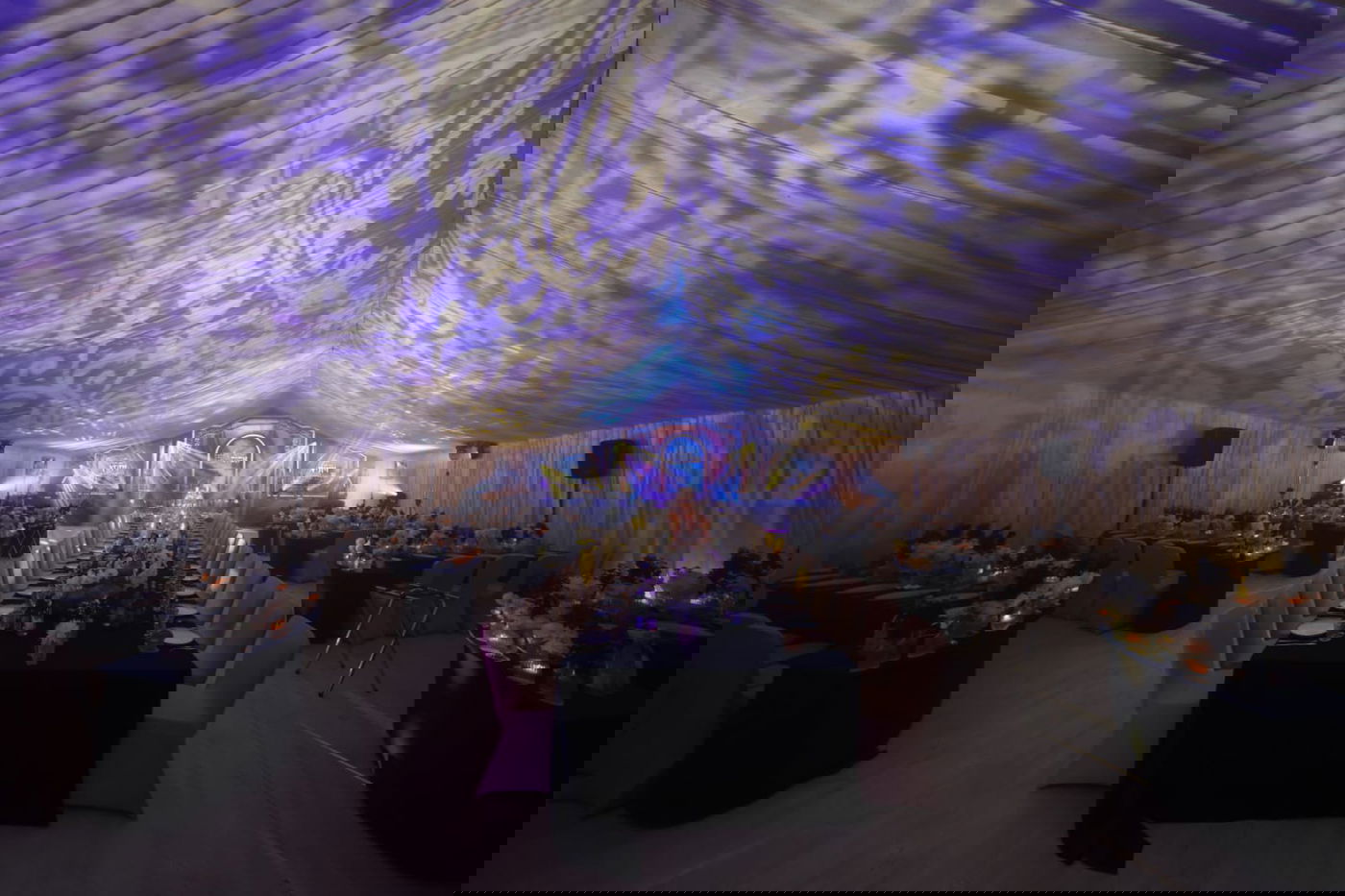 ועידת איגוד מוסדות ויז'ניץ