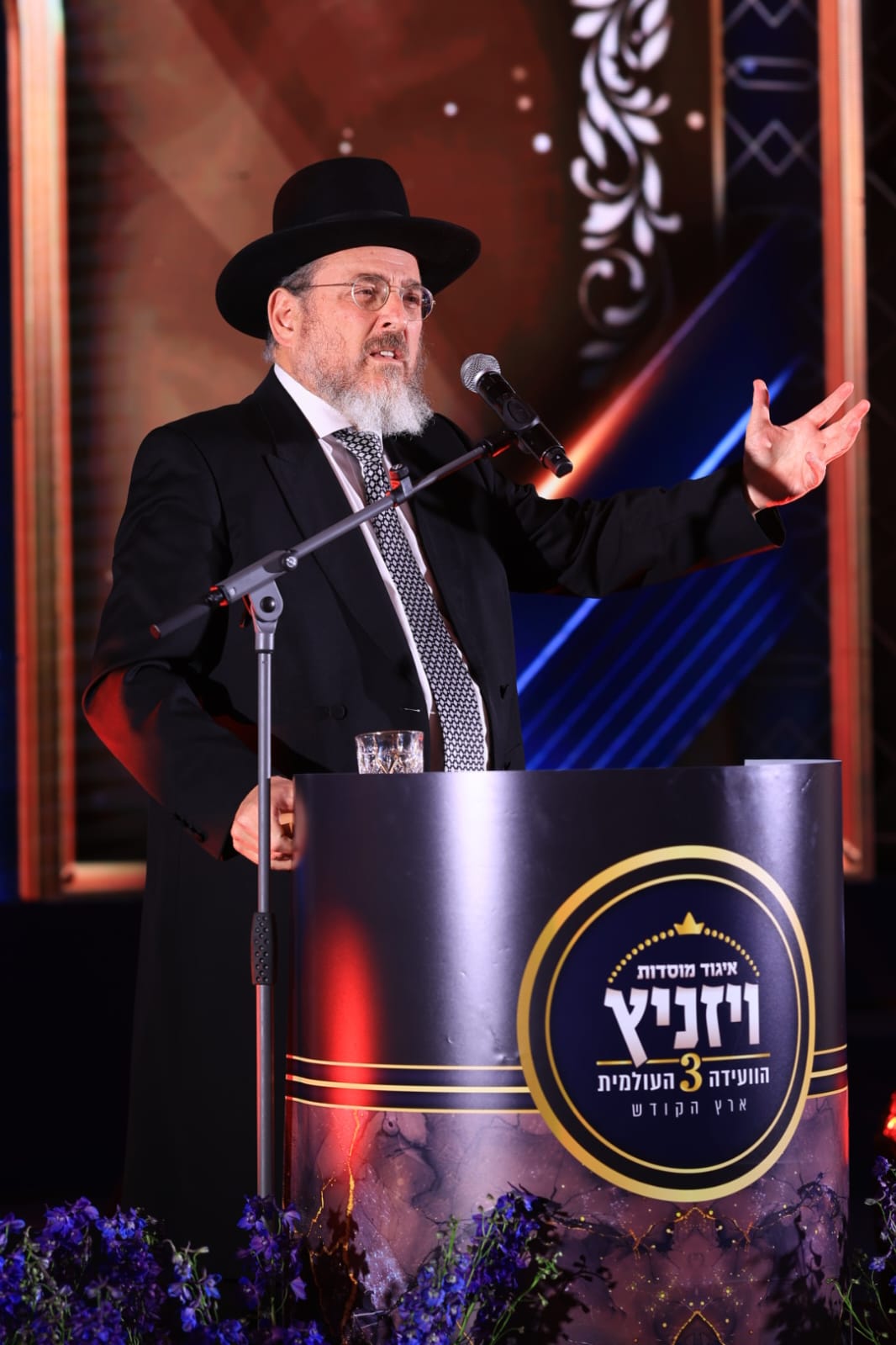 ועידת איגוד מוסדות ויז'ניץ