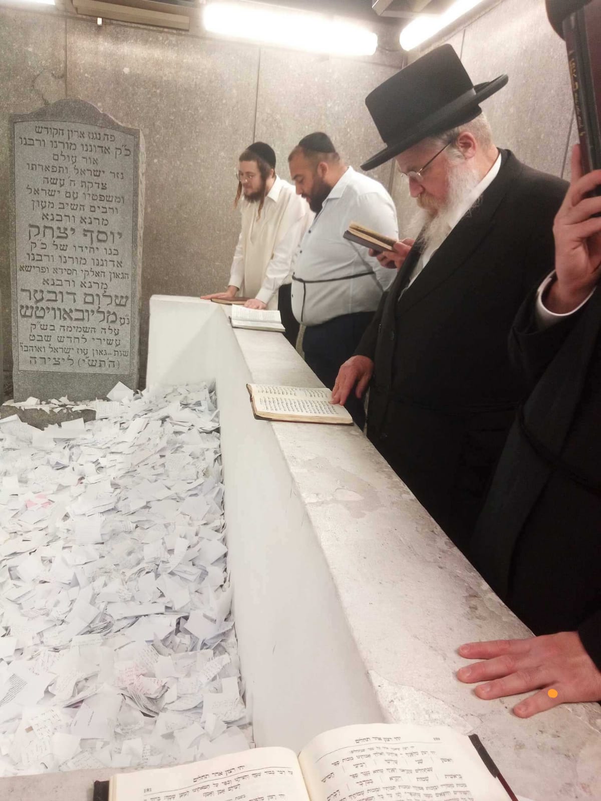 זופניק בכיכר | כל התמונות, הנייעס והחשיפות של השבוע