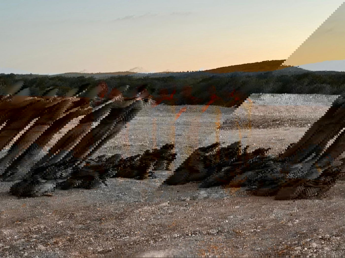 חיל הרפואה בפעולה ועיבוד המלחמה