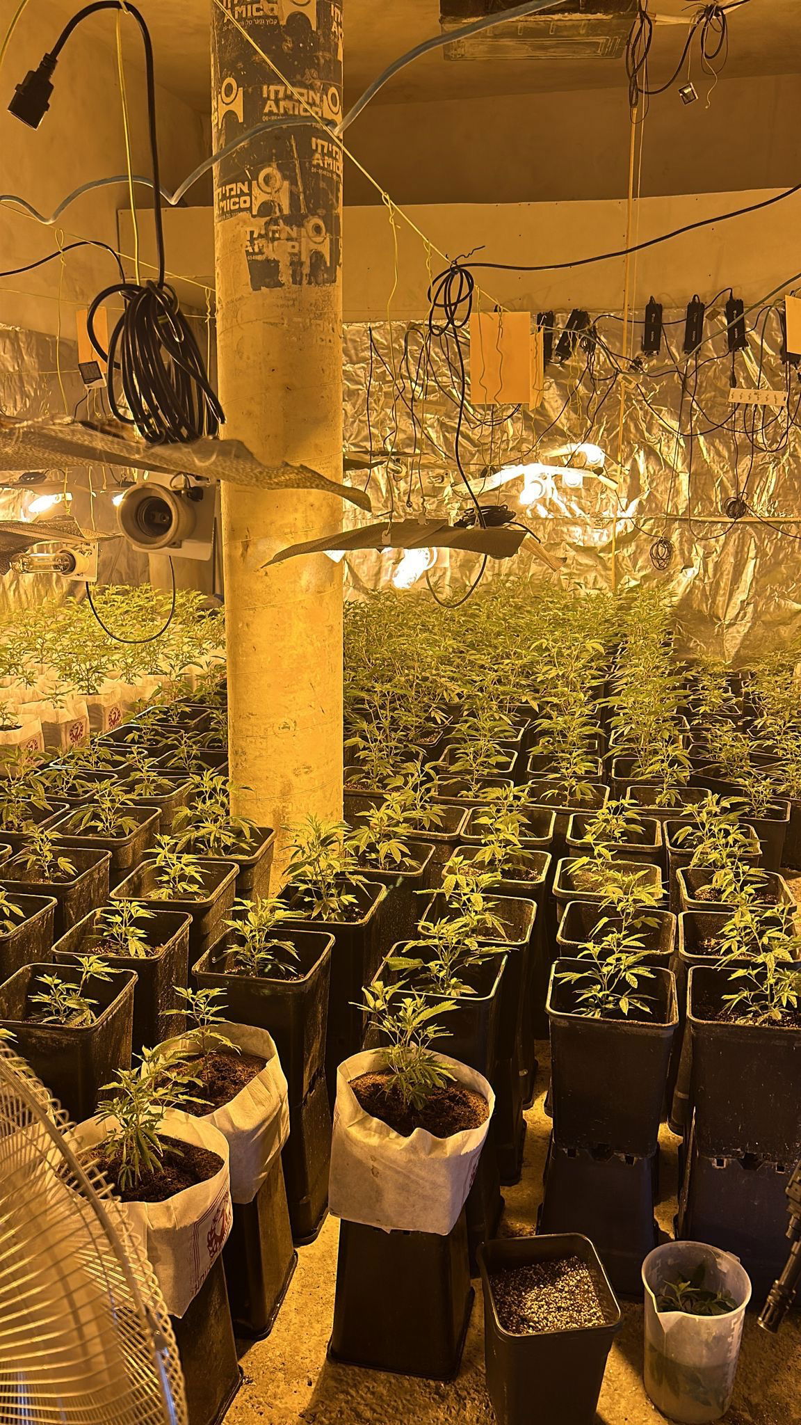 פעילות המשטרה אמש