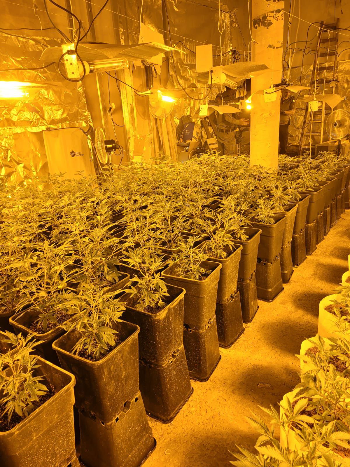 פעילות המשטרה אמש