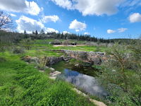 "ביר – אשמי" הסמוכה למערת הרשב"י מלאה במים