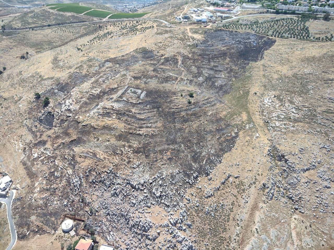 השריפה כתוצאה מאחת ההצתות המכוונות של פלסטינים באזור שכם
