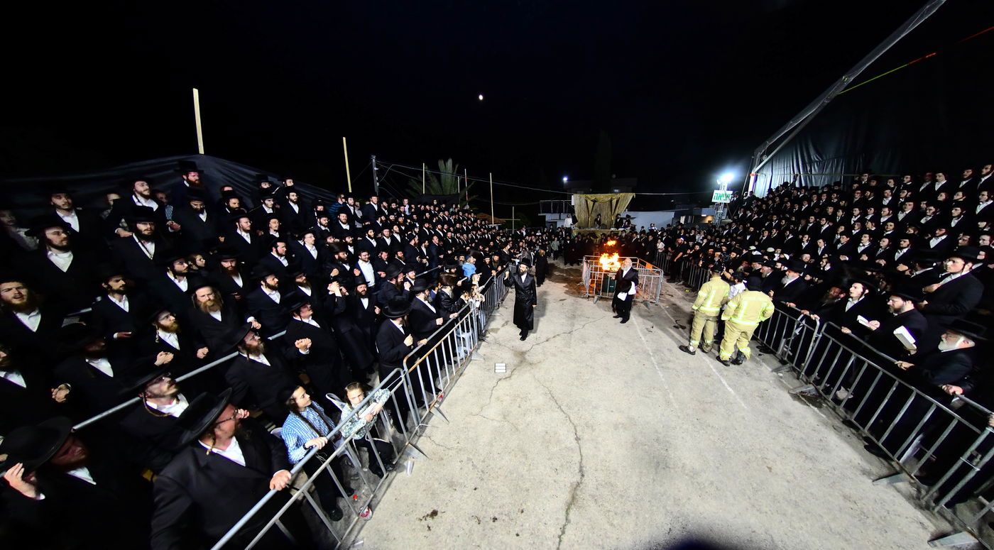 ל"ג בעומר בחצה"ק זוויעהיל