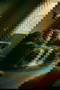 להכניס את הטבע להבית