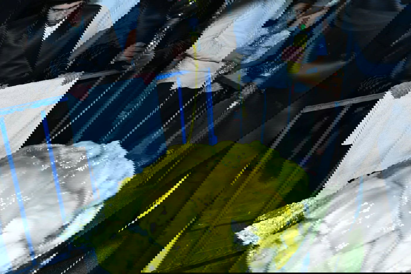 הגאון הרב ליאור גלזר בהדלקה לכבוד ל"ג בעומר