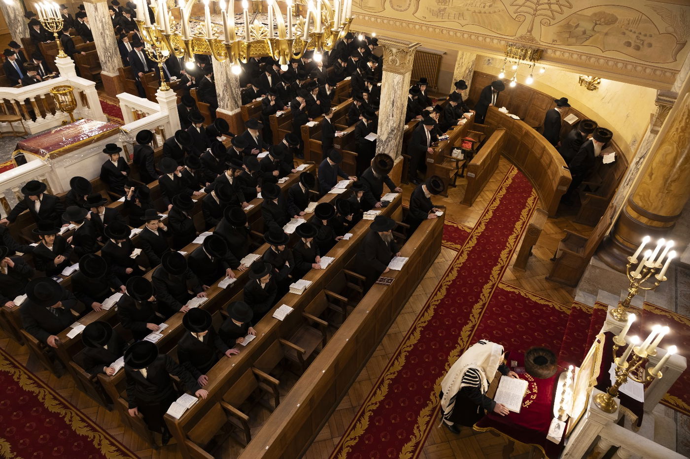 כינוס בחורי אנטווערפען ביום ל"ג בעומר 