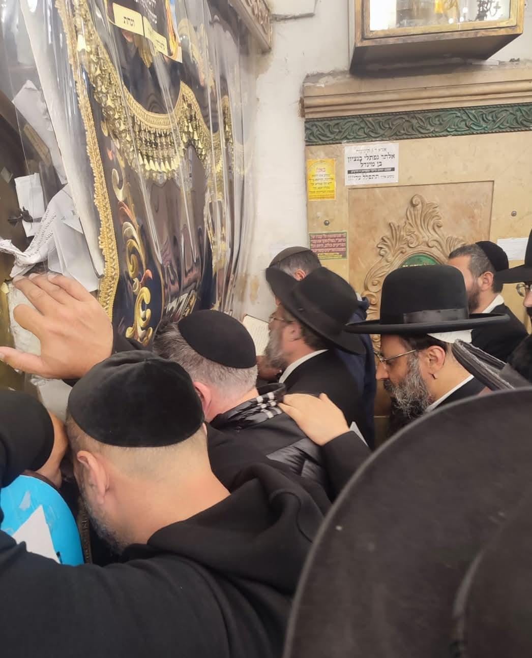 זופניק בכיכר | כל התמונות, הנייעס והחשיפות של השבוע