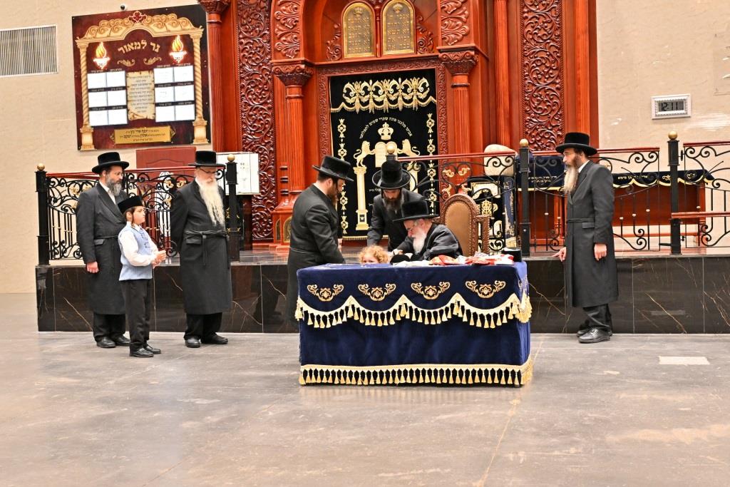 ל"ג בעומר בחצה"ק ויז'ניץ