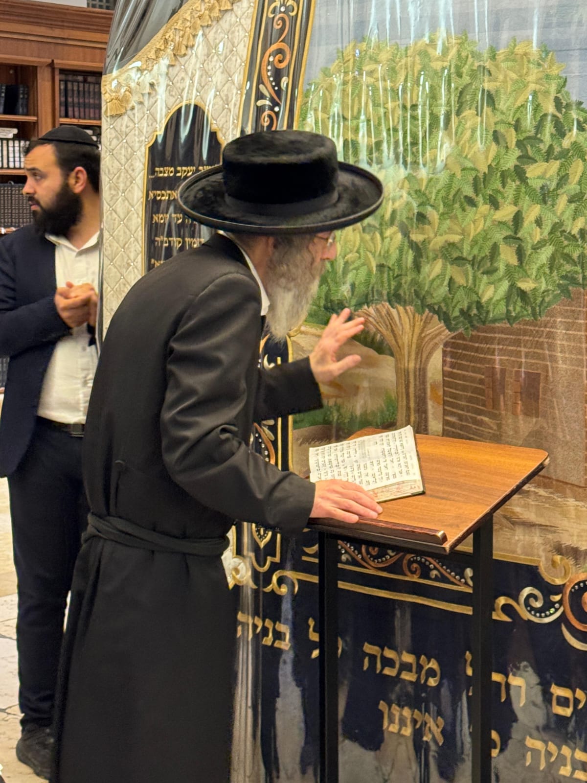 זופניק בכיכר | כל התמונות, הנייעס והחשיפות של השבוע