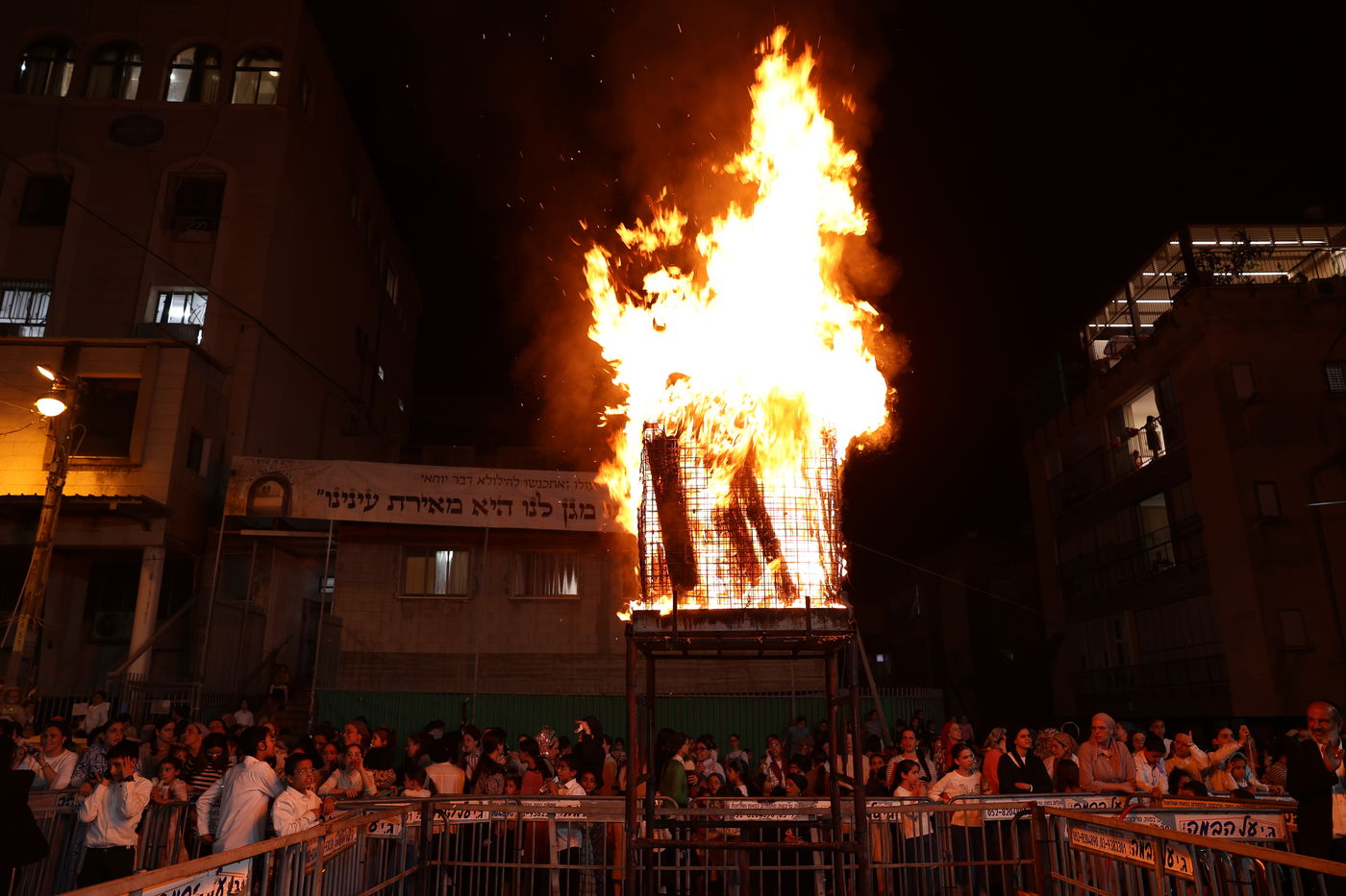 ל"ג בעומר בת"ת שתילי זיתים