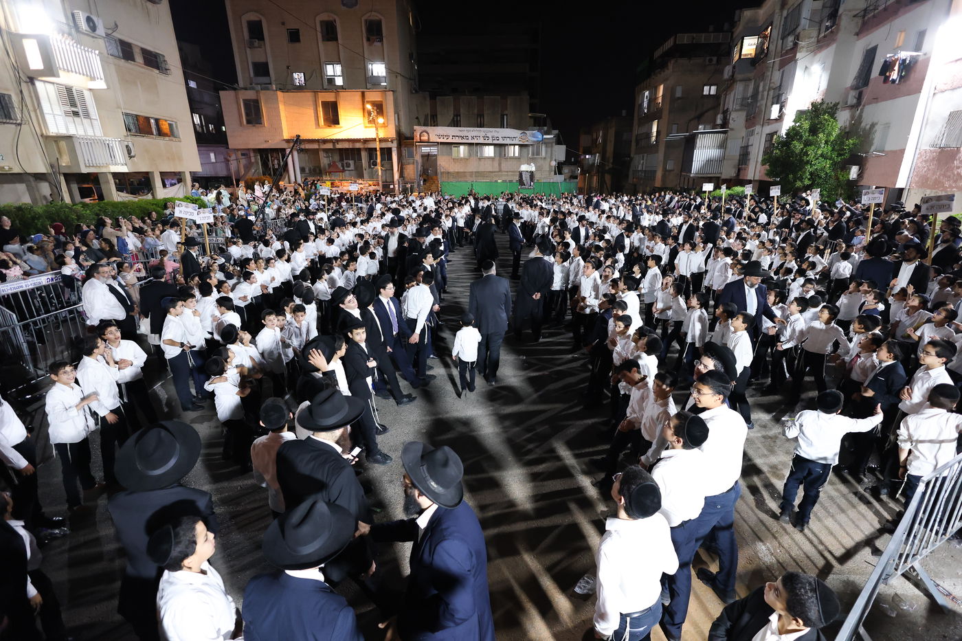 ל"ג בעומר בת"ת שתילי זיתים