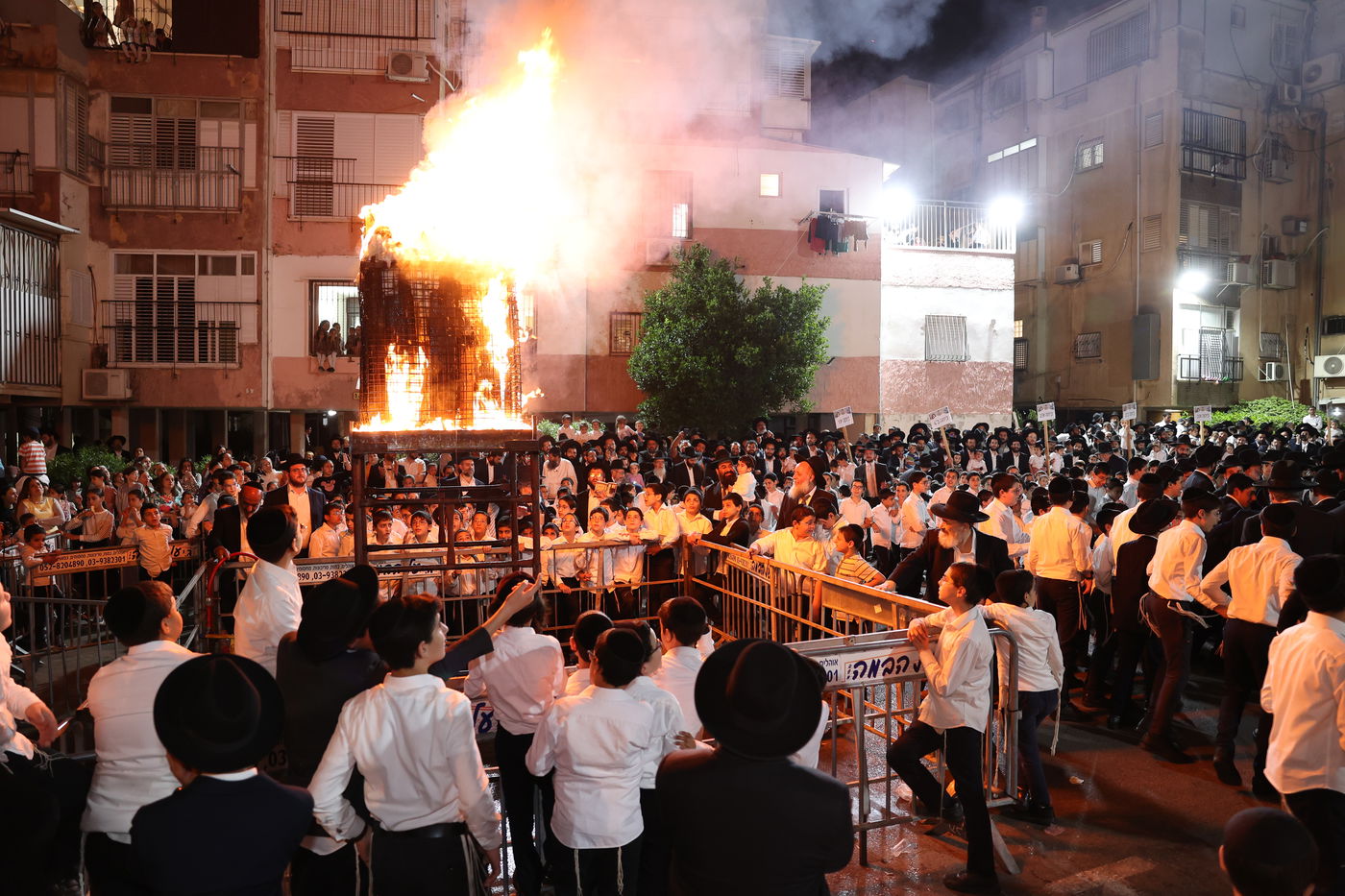 ל"ג בעומר בת"ת שתילי זיתים