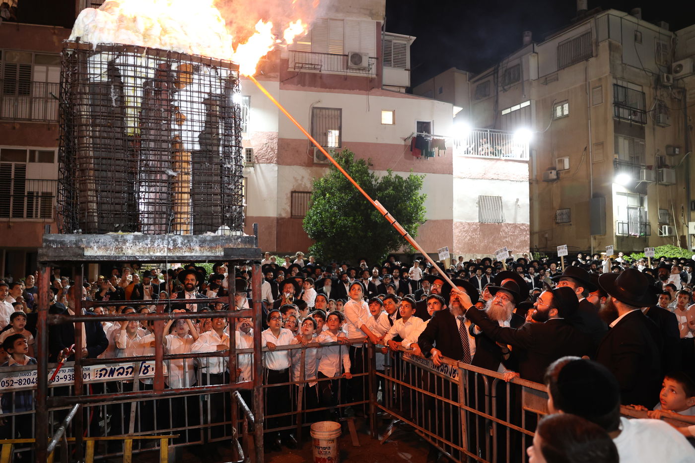 ל"ג בעומר בת"ת שתילי זיתים