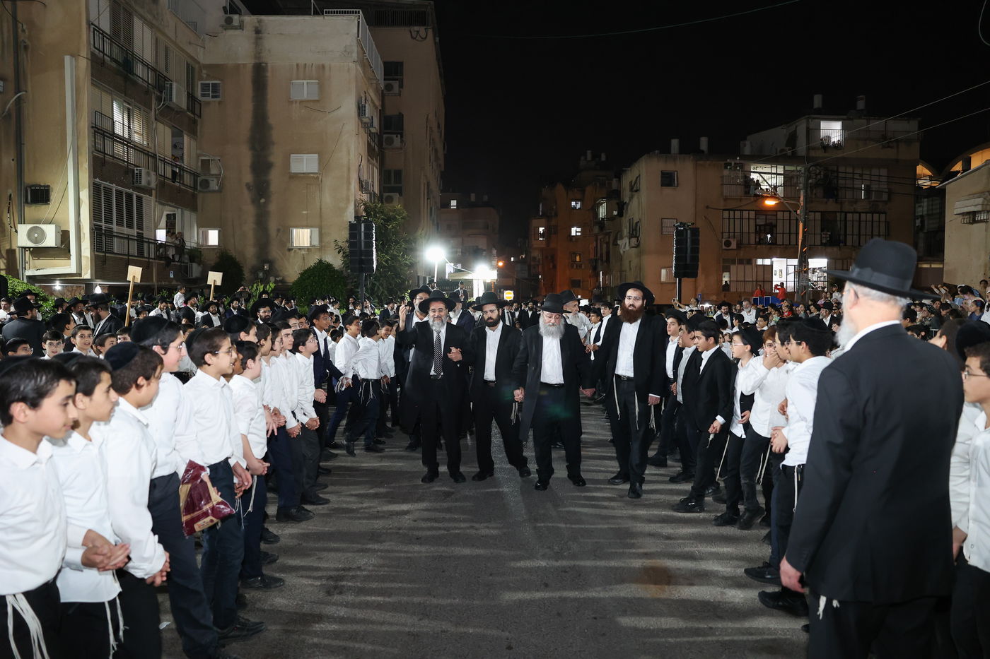 ל"ג בעומר בת"ת שתילי זיתים