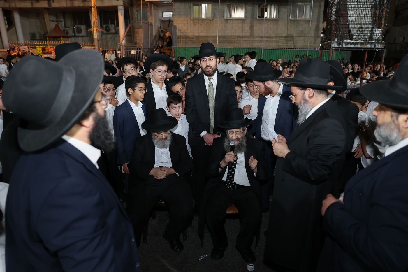 ל"ג בעומר בת"ת שתילי זיתים