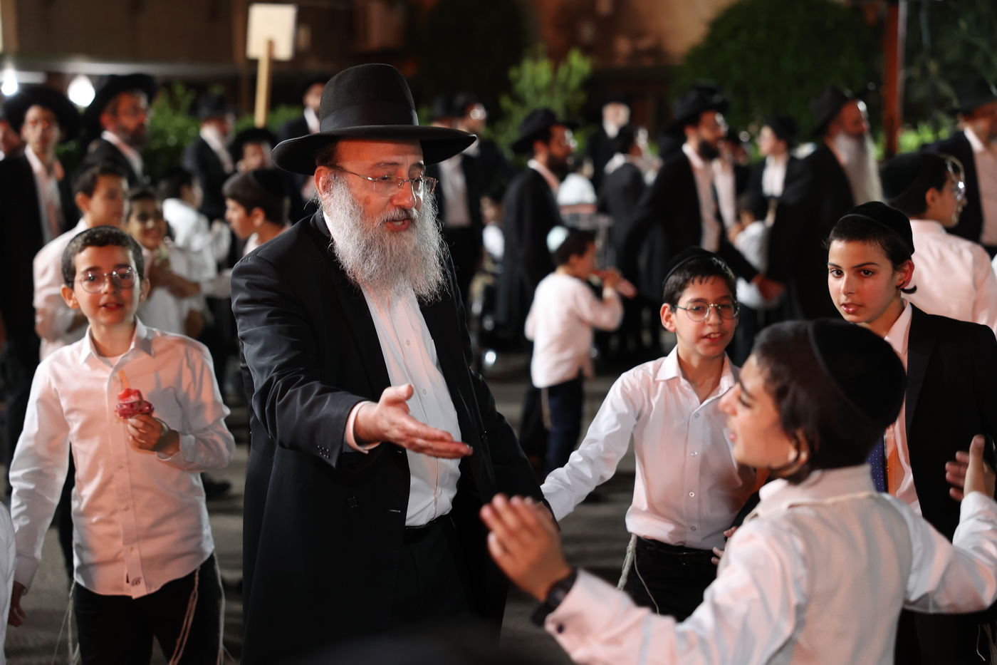 ל"ג בעומר בת"ת שתילי זיתים