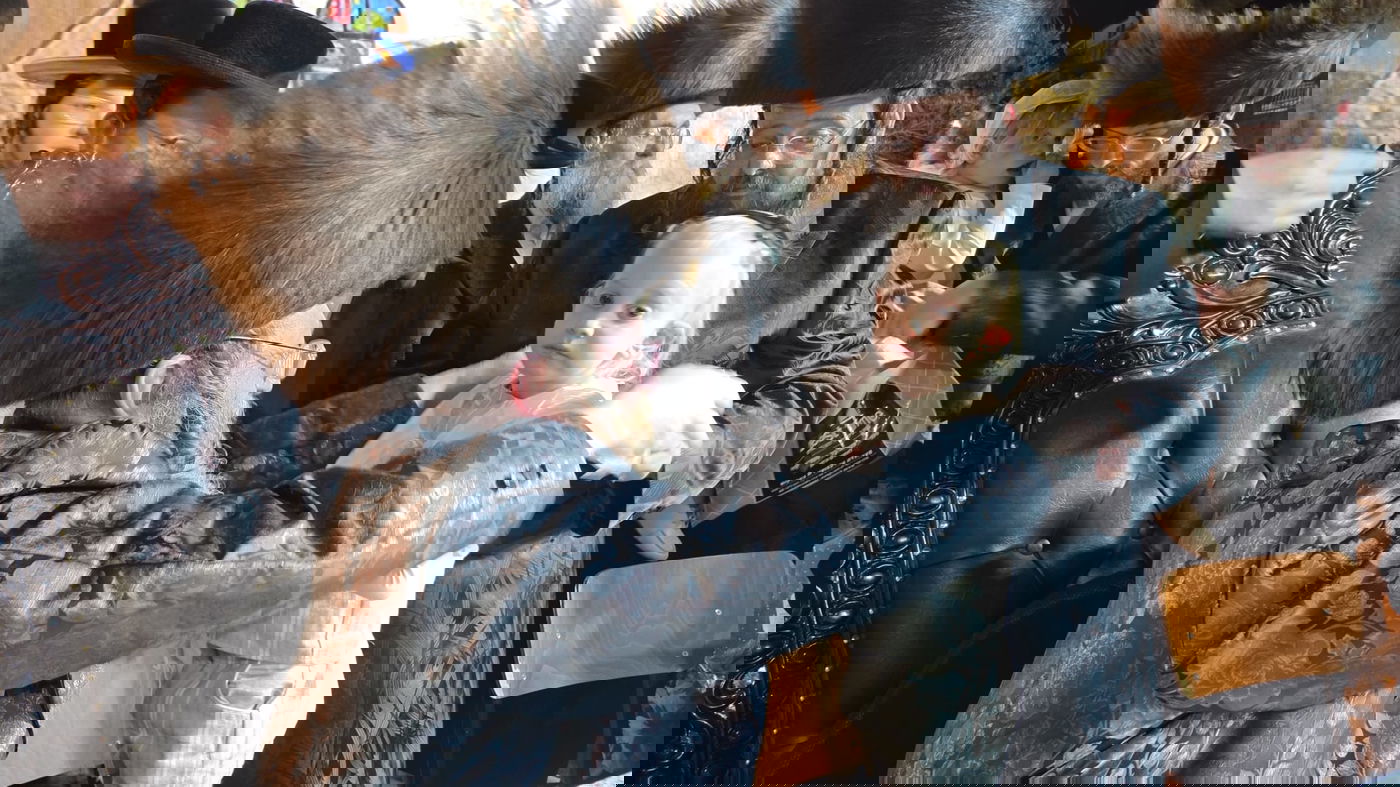 ל"ג בעומר בחצה"ק טרבישאן