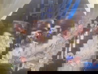 הרב ארוש חיתן את בת זקוניו ורקד עם מטאטא • צפו בתיעוד