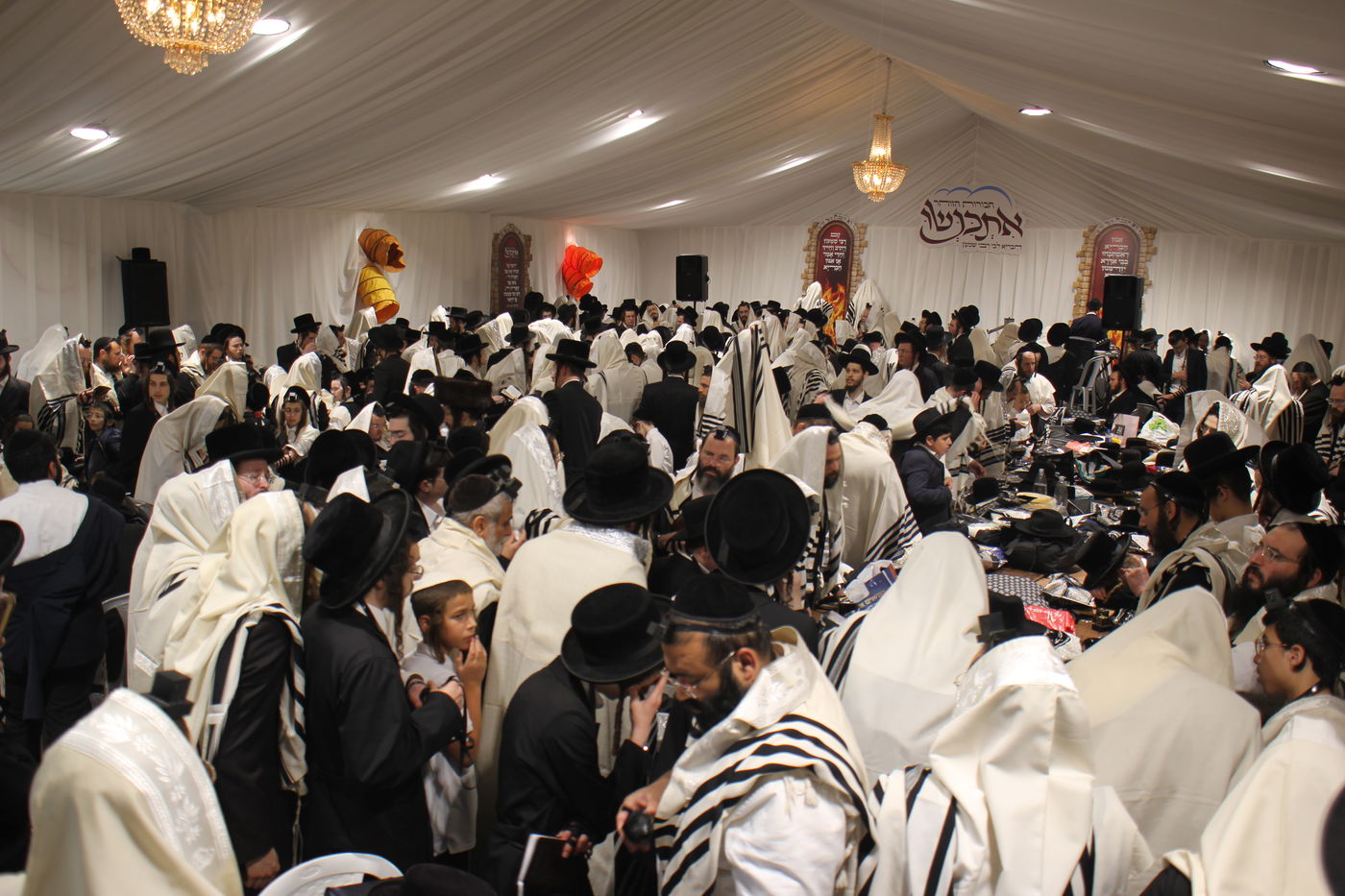 ל"ג בעומר תשפ"ה במירון