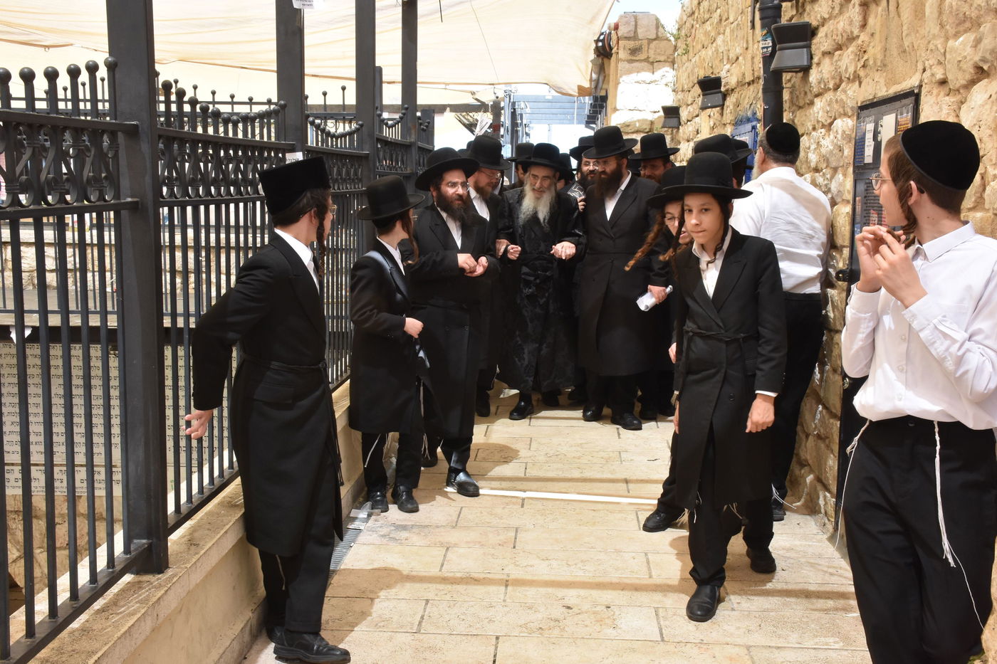 האדמו"ר מאלכסנדר במירון