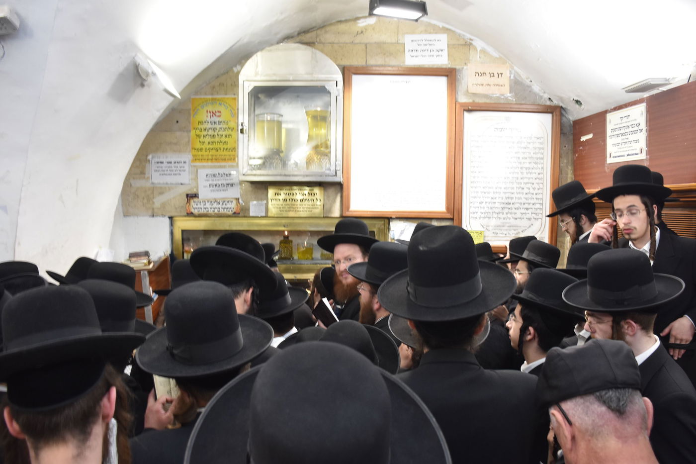 האדמו"ר מאלכסנדר במירון