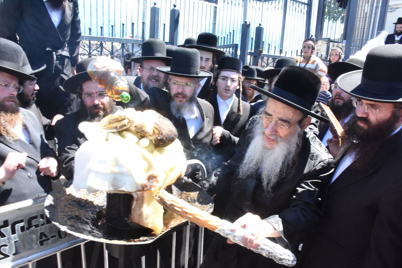 האדמו"ר מאלכסנדר במירון