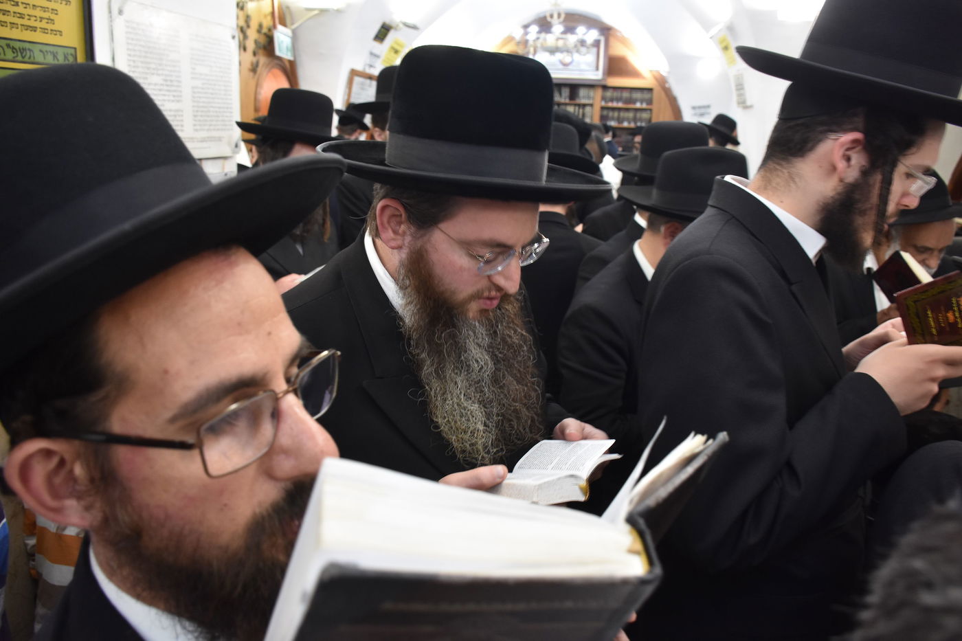 בן האדמו"ר מקארלין בציון הרשב"י במירון