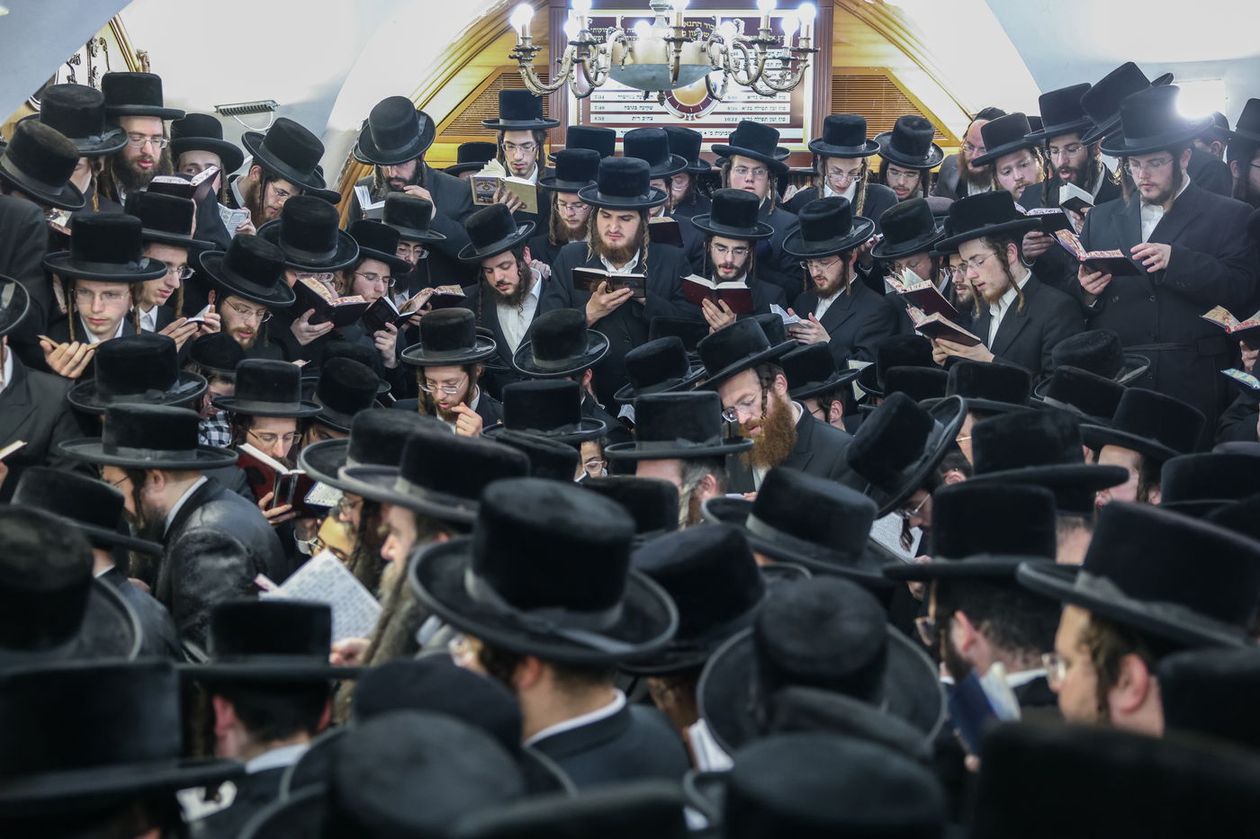 האדמו"ר מצאנז בתפילה באתרא קדישא מירון