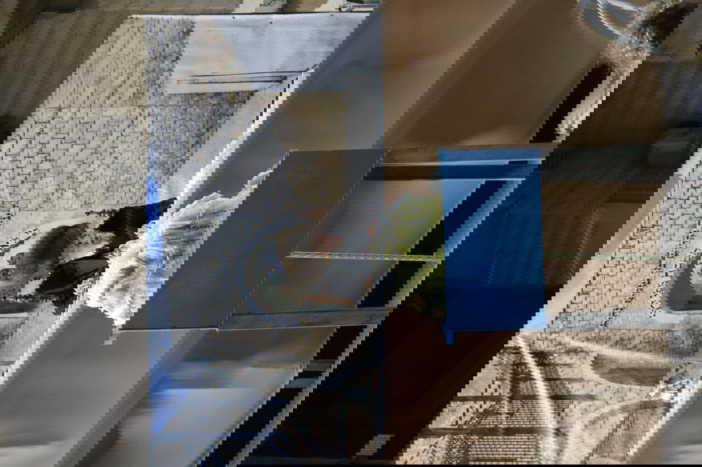 ל"ג בעומר בחצה"ק קופיטשניץ