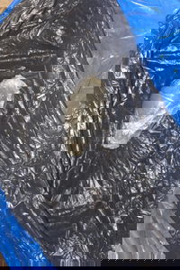 האמל"ח שאותר