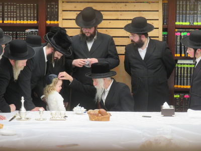 ל"ג בעומר בחצה"ק סטריקוב