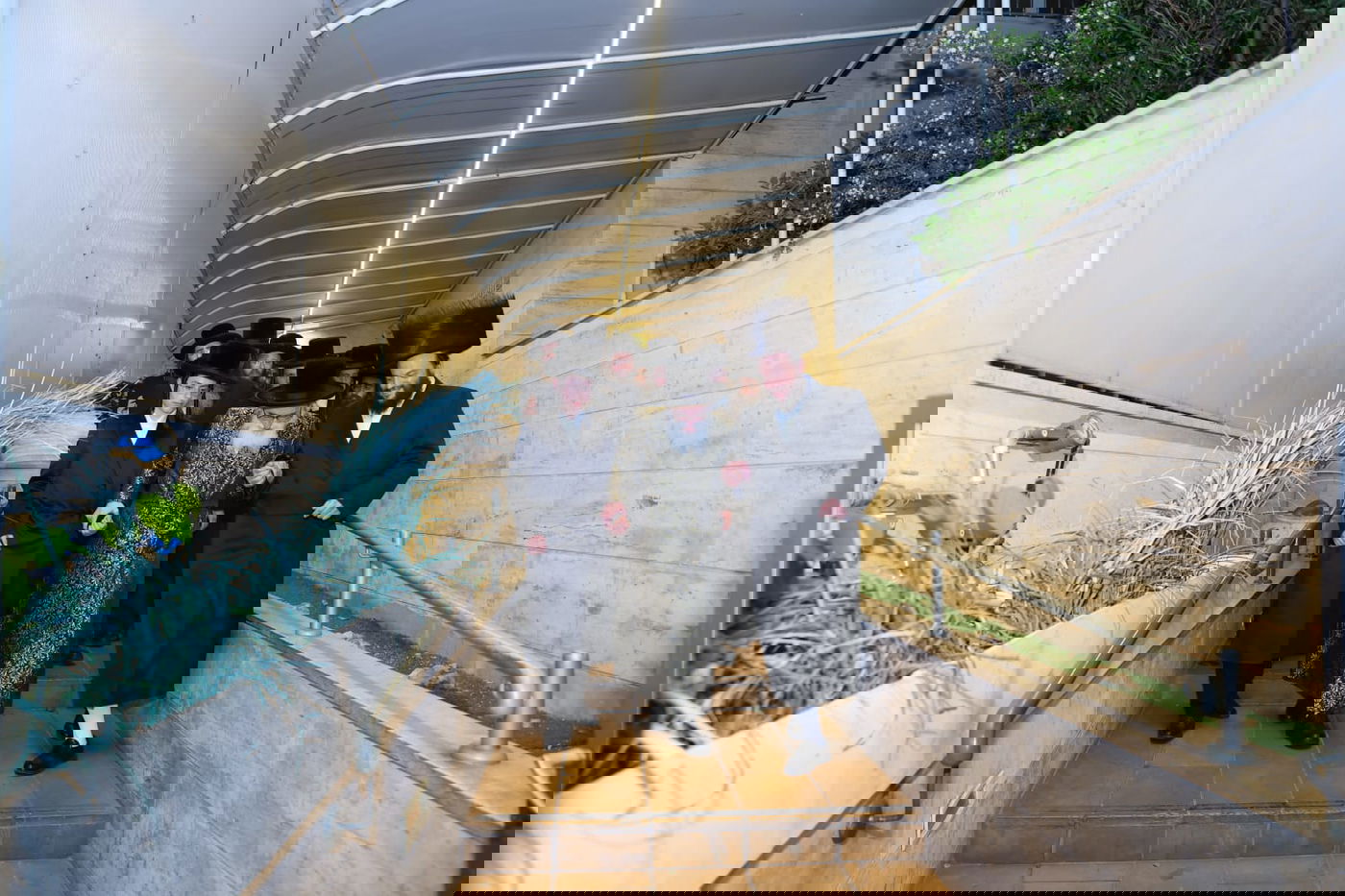 שמחת בר המצווה לבנו של איש התיירות ישראל ווייס