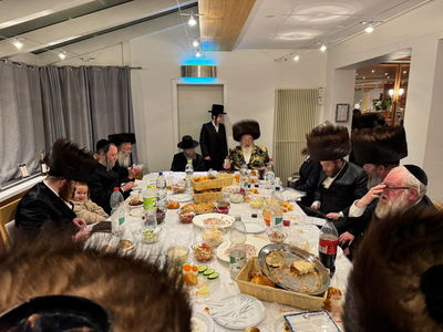 האדמו"ר מספינקא והגה"צ רבי דן סגל בדאבוס