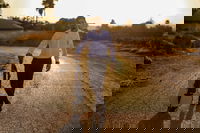 לקראת יום ירושלים: אייל צרפתי מחדש את "הכותל"