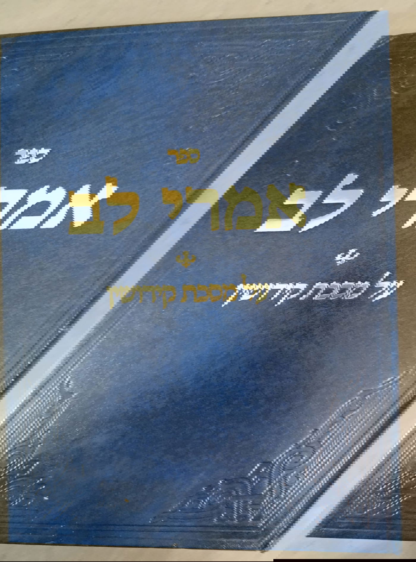 הרב משה הורוביץ אצל האדמו"ר מסאדיגורה