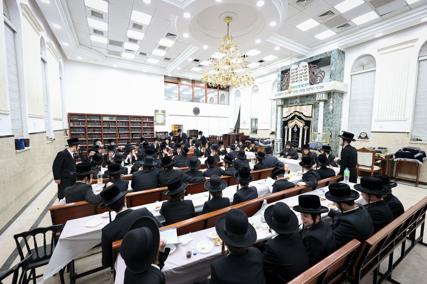 הילולת הרה"ק רבי שלמה מזוועהיל זי"ע