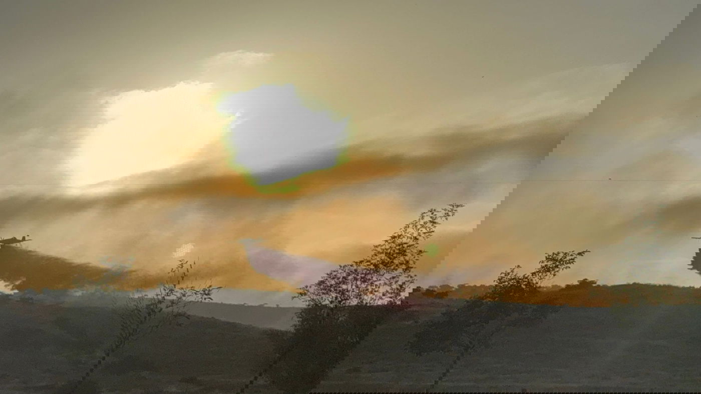 מטוסי הכיבוי