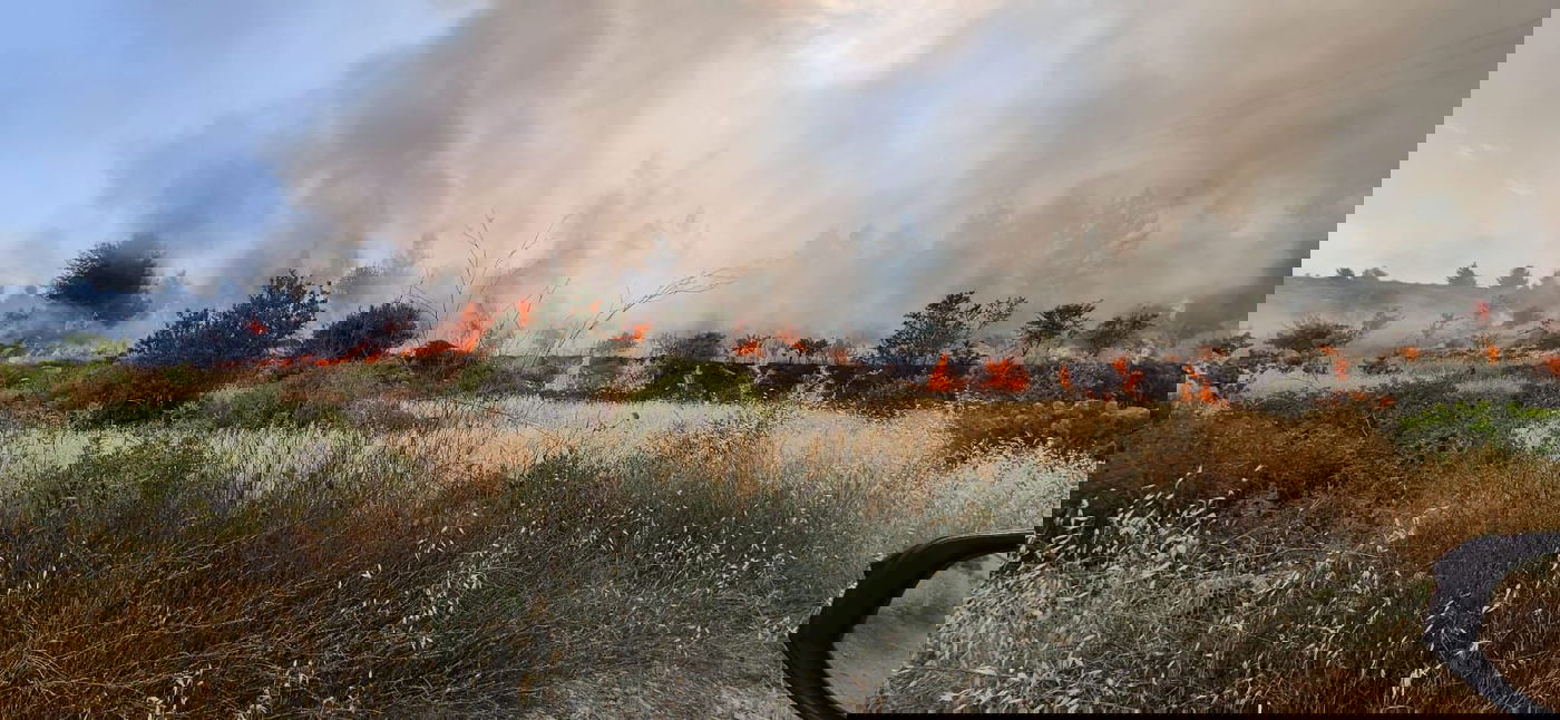 השריפה כעת בגוש עציון