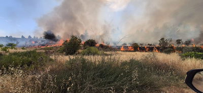השריפה כעת בגוש עציון
