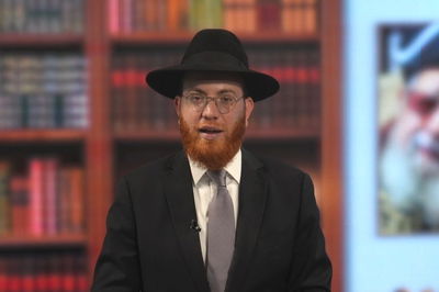 רוצים
לאפות לחם חלבי או מאפים חלביים? כל הפרטים למעשה • צפו