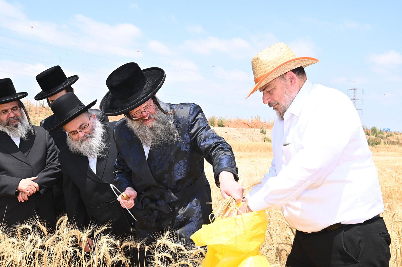האדמו"ר מביטשקוב בקצירת חיטים