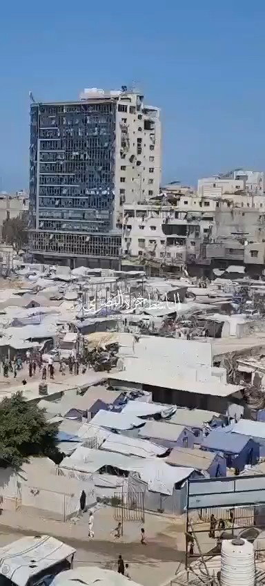 בזיזת משאיות הסיוע אתמול ברצועה