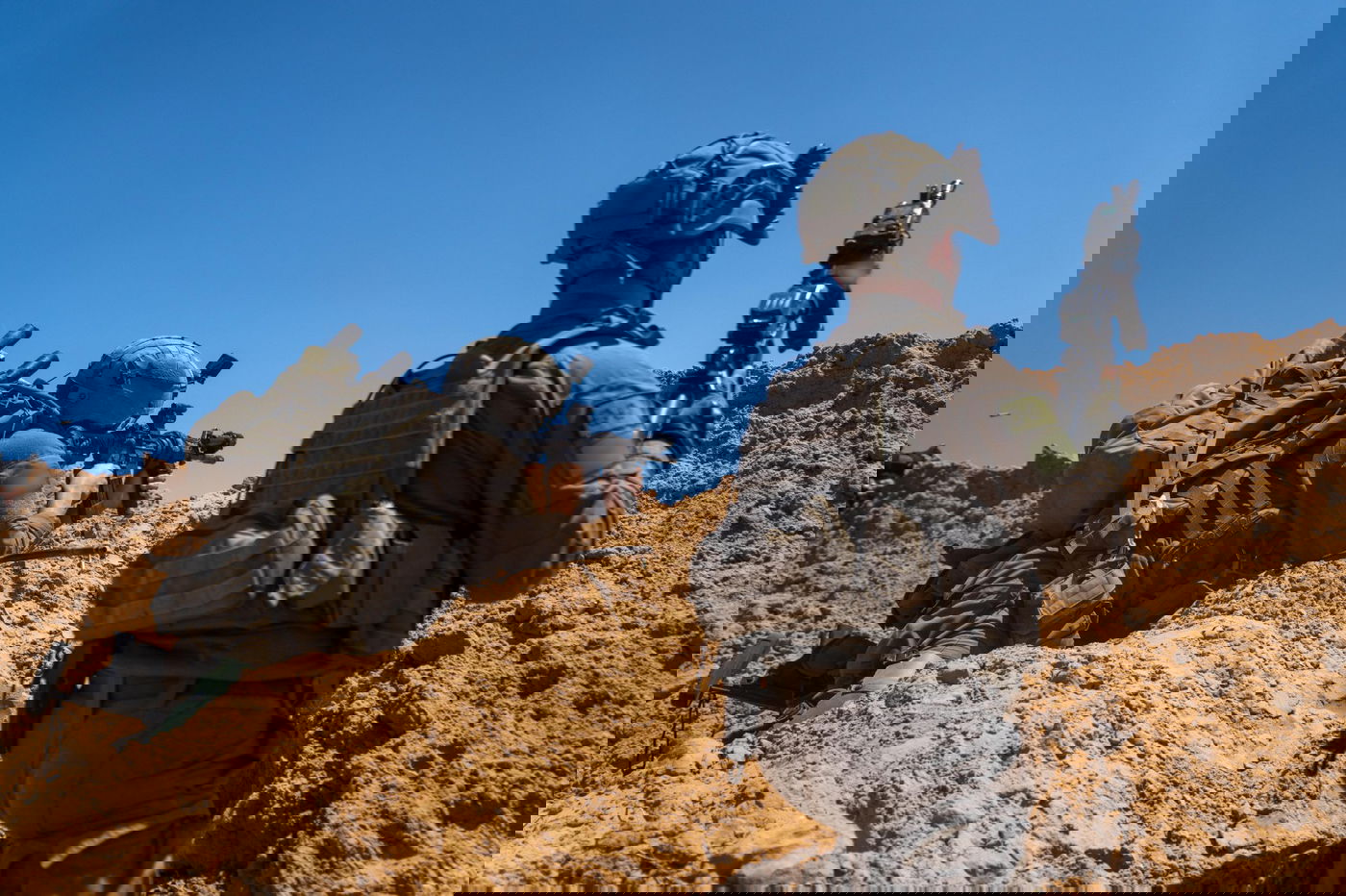 פעילות כוחות צה"ל ברצועה