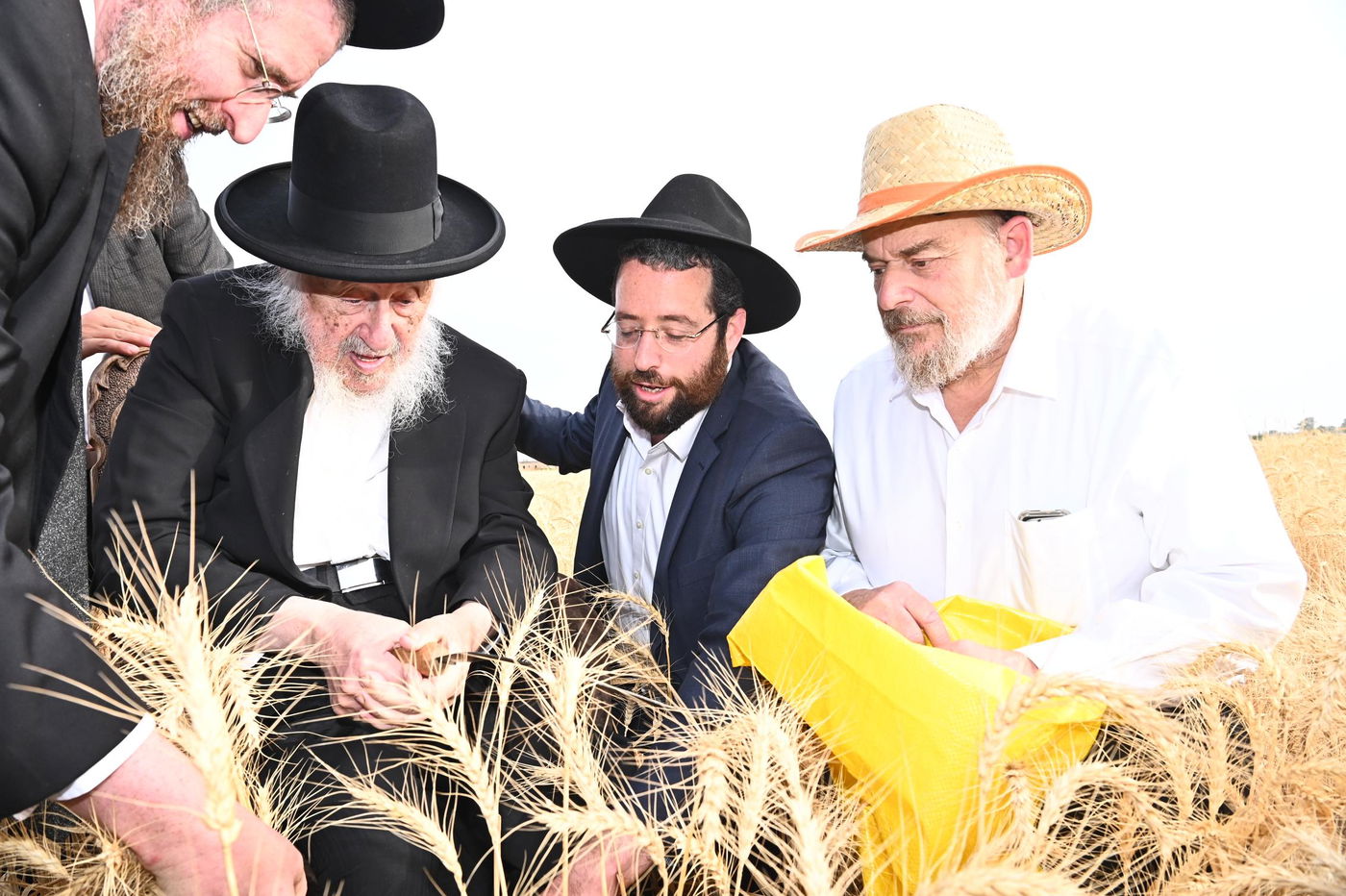 הגרב"ד פוברסקי בקצירת חיטים