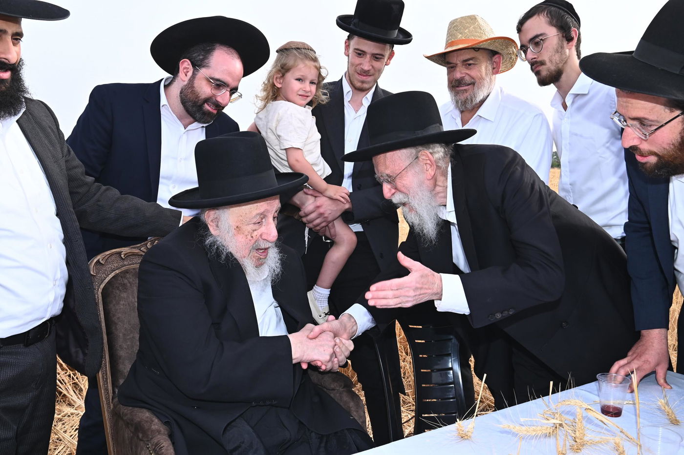 הגרב"ד פוברסקי בקצירת חיטים