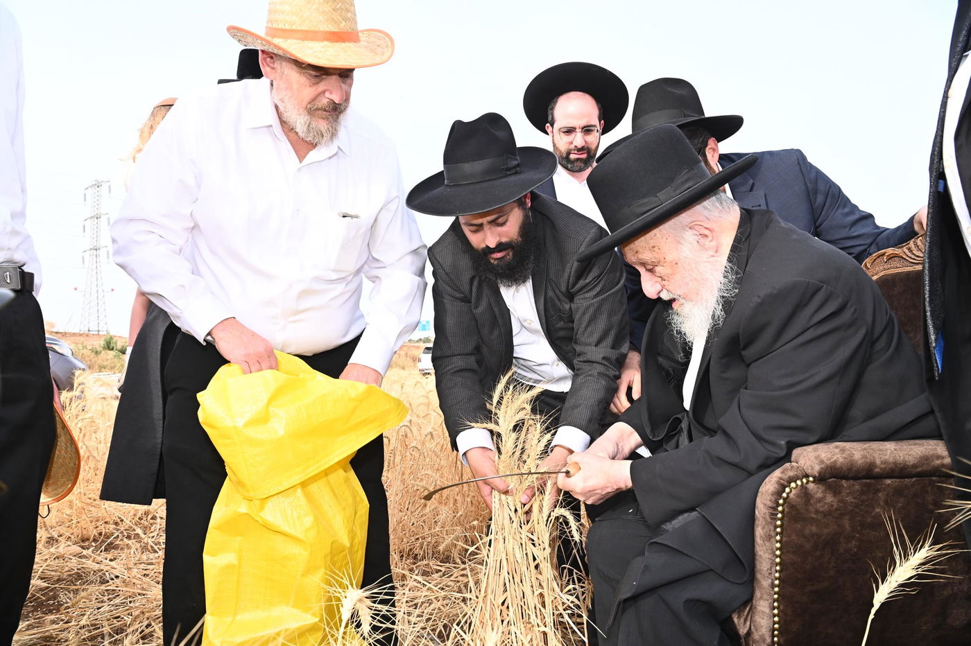 הגרב"ד פוברסקי בקצירת חיטים